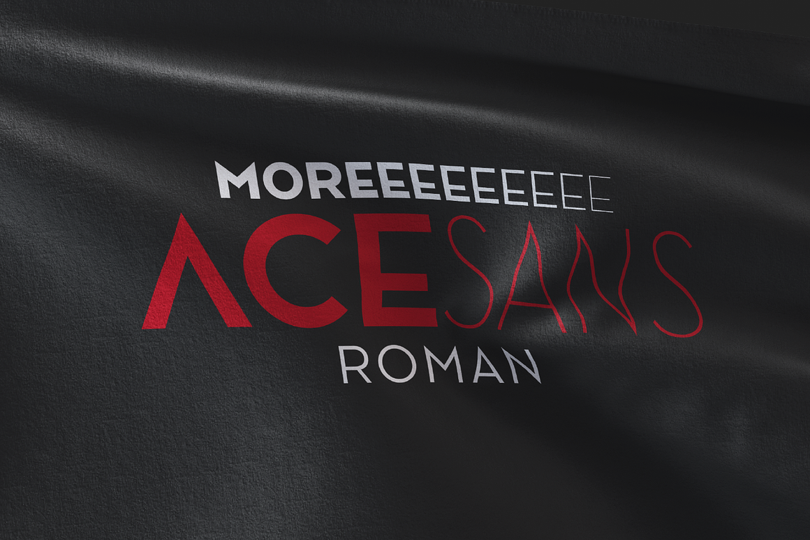 Ace Sans Roman Font Free Download