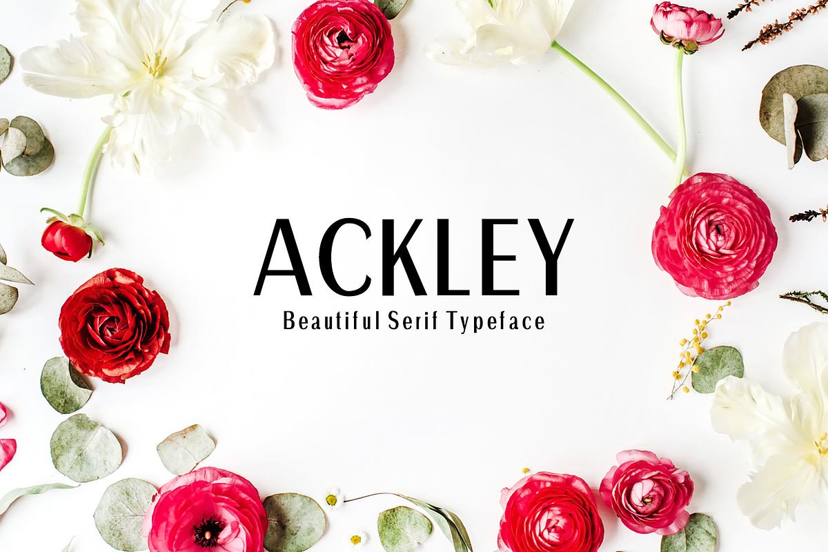 Ackley Sans Serif Font Family Free Download Free Download