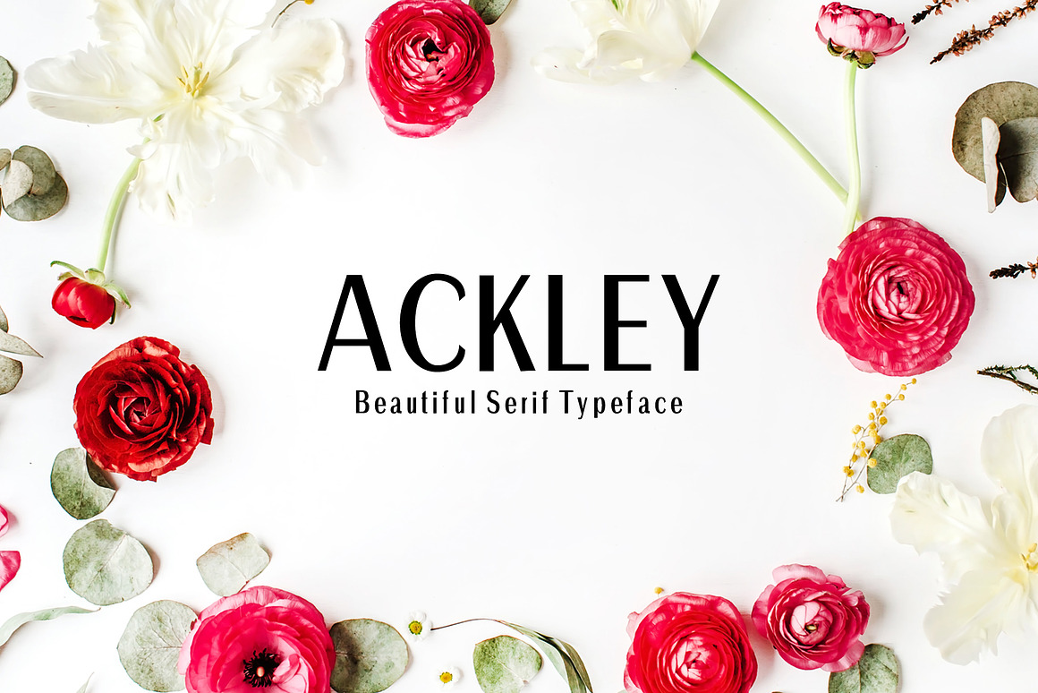 Ackley Sans Serif Font Family Free Download