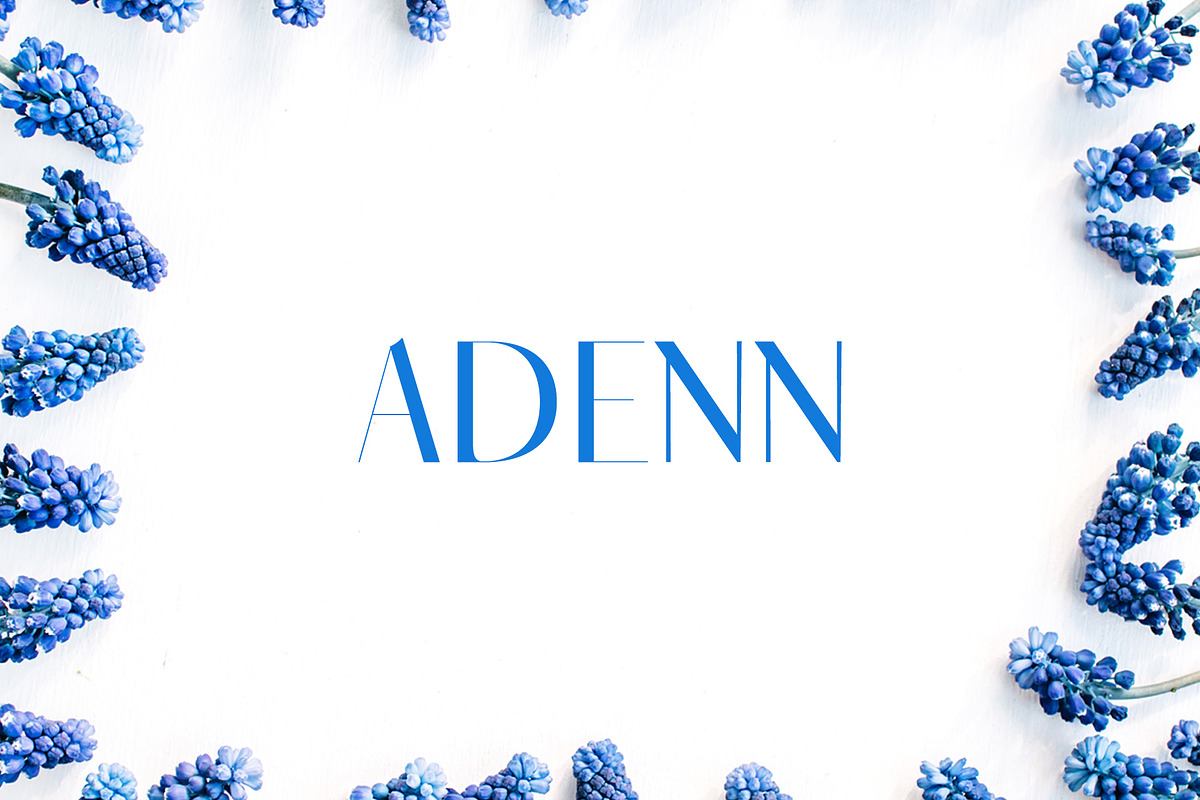 Adenn Serif 4 Font Family Pack Free Download Free Download