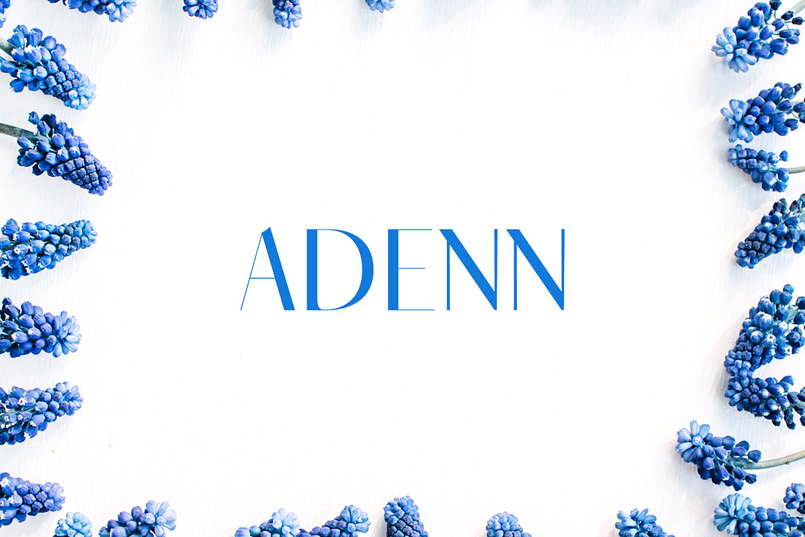 Adenn Serif 4 Font Family Pack Free Download