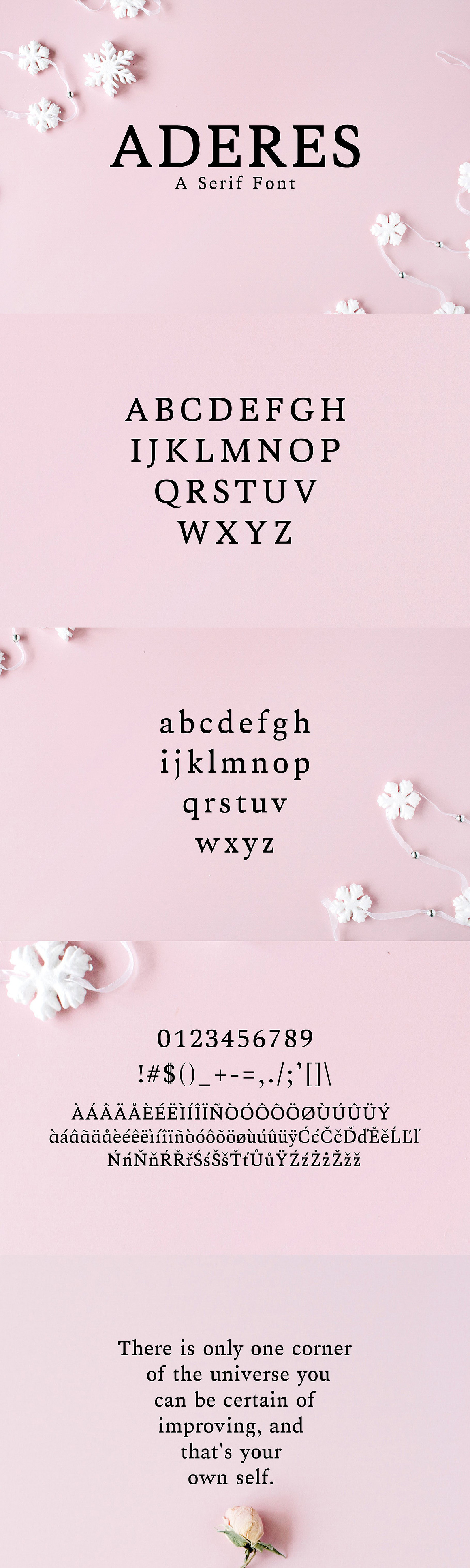 Aderes Serif 2 Font Family Pack Free Download