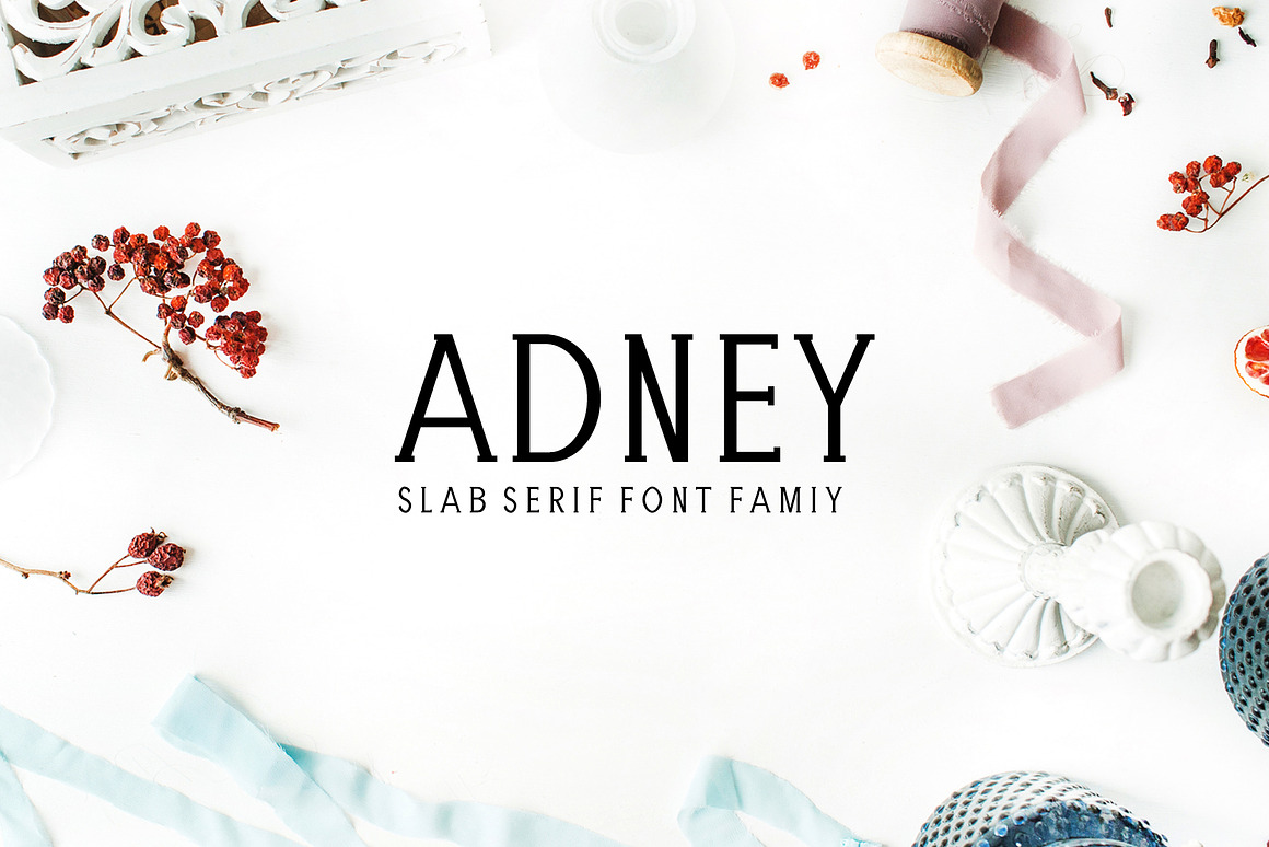 Adney Slab Serif Font Family Free Download