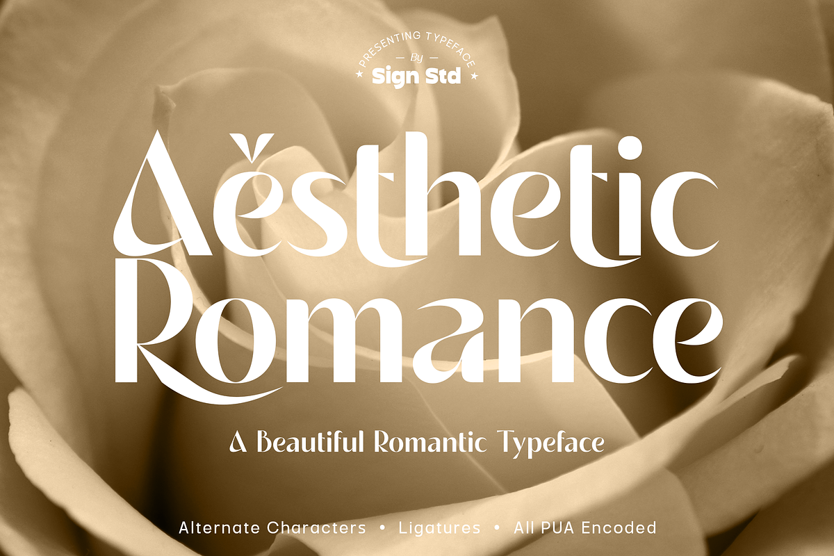 Aesthetic Romance Free Download Free Download