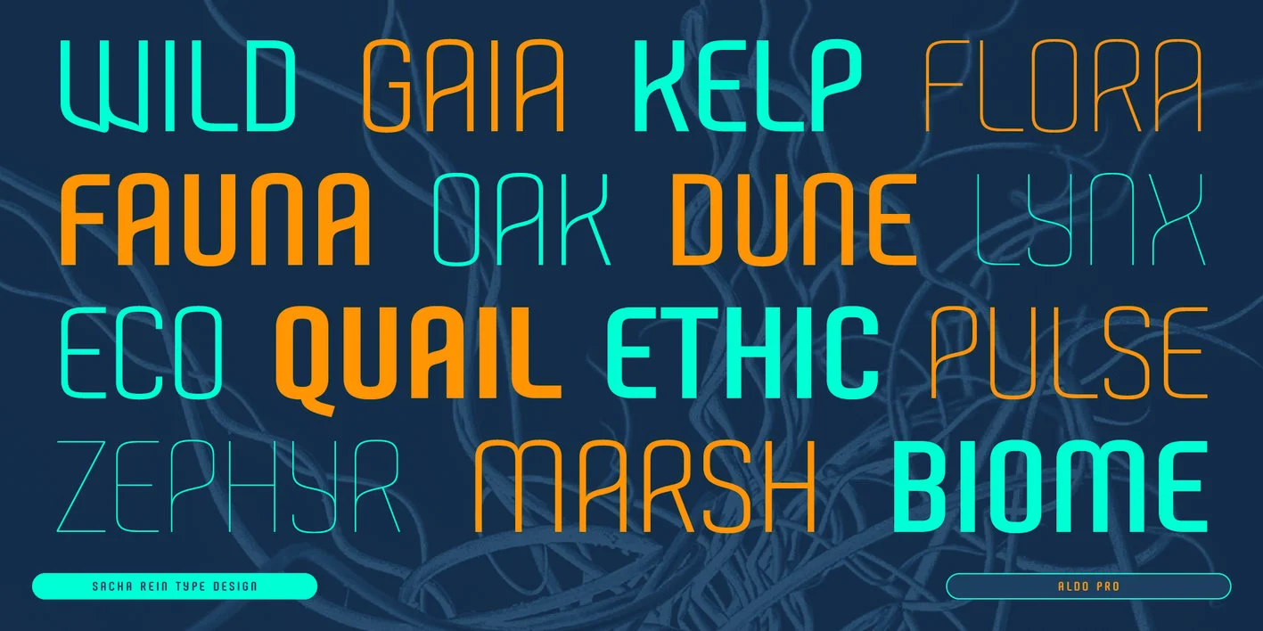 Aldo Pro Font