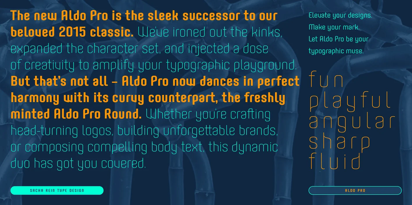 Aldo Pro Font