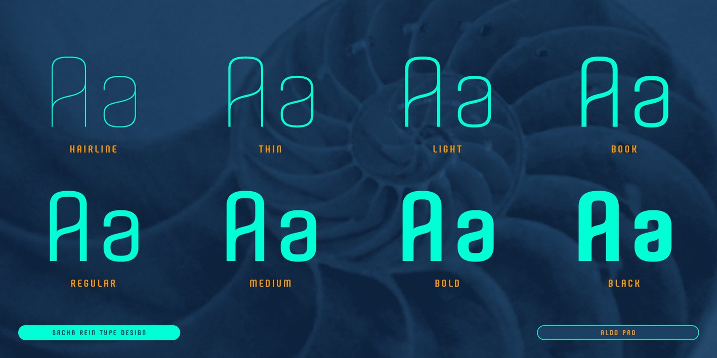 Aldo Pro Font Free Download