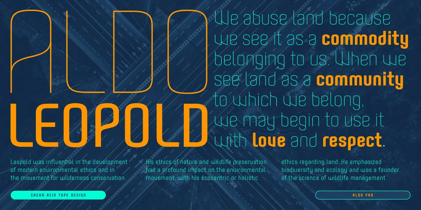 Aldo Pro Font