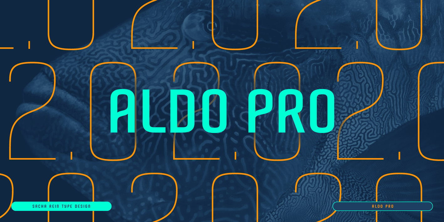 Aldo Pro Font Free Download