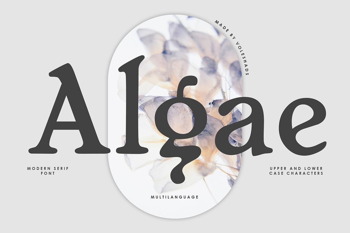 Algae Modern Serif Font Free Download Free Download