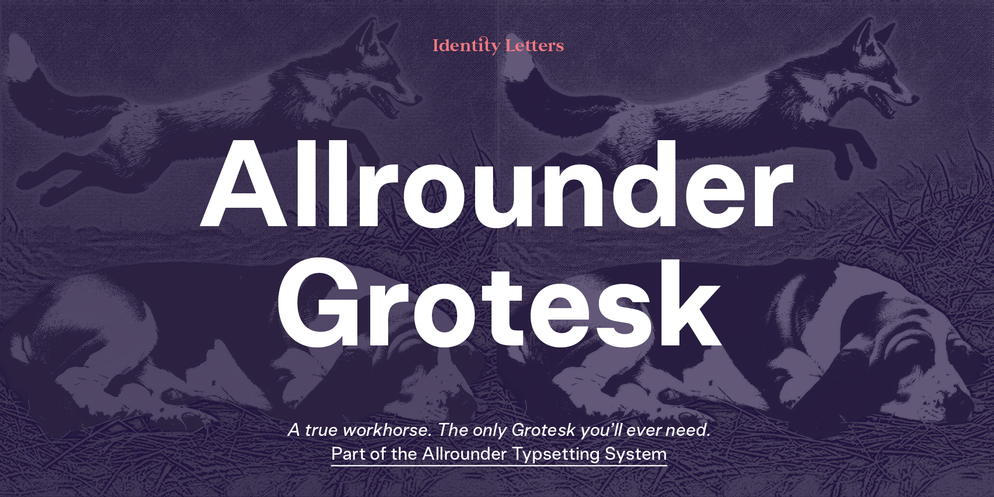 Allrounder Grotesk Free Download Free Download