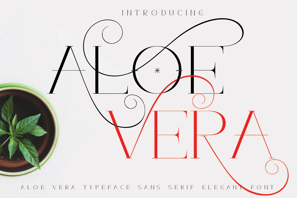 Aloe Vera Font Free Download