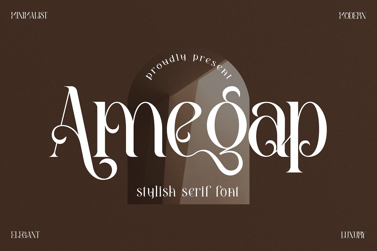 Amegap Stylish Serif Font Free Download Free Download