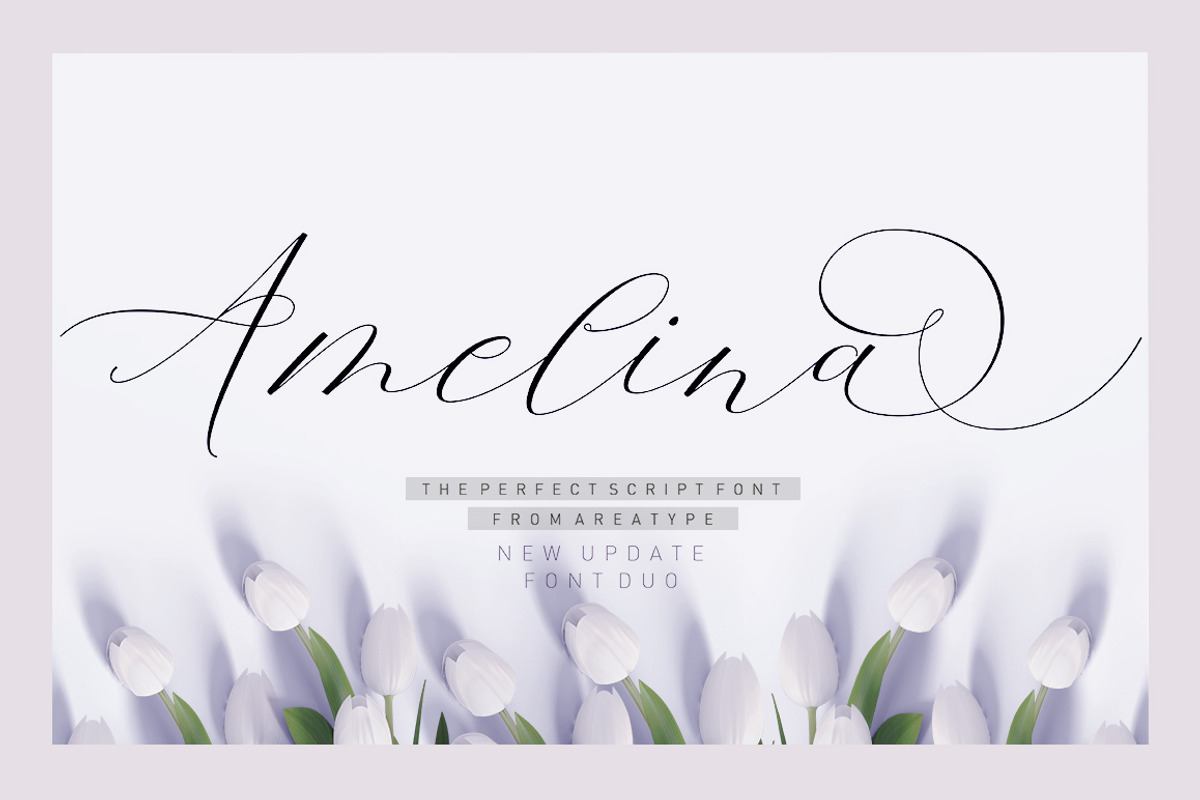 Amelina Script New Update Font Duo Free Download Free Download