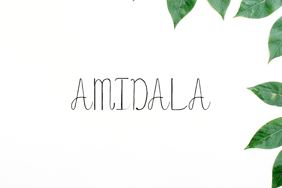 Amidala Script Font Free Download