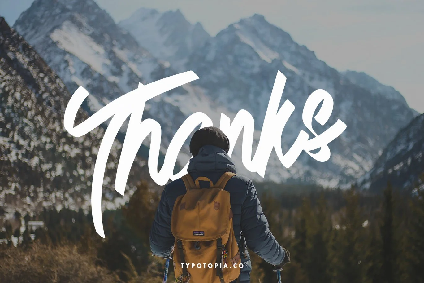 Andals Script Typeface