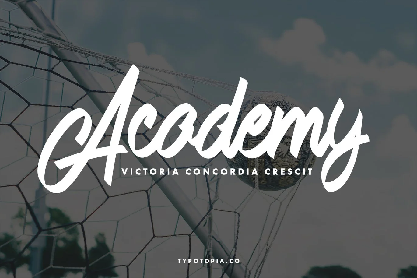 Andals Script Typeface