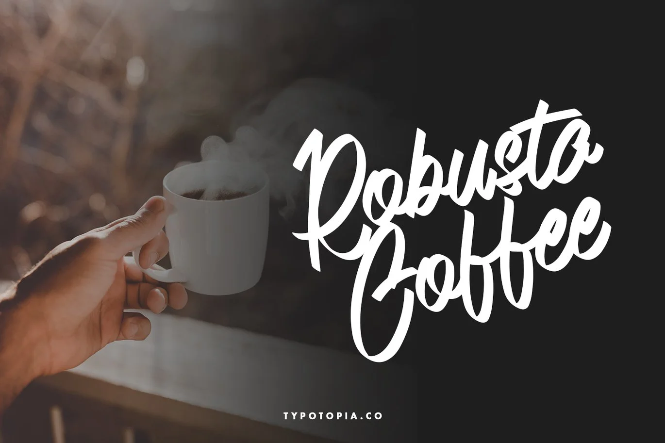 Andals Script Typeface