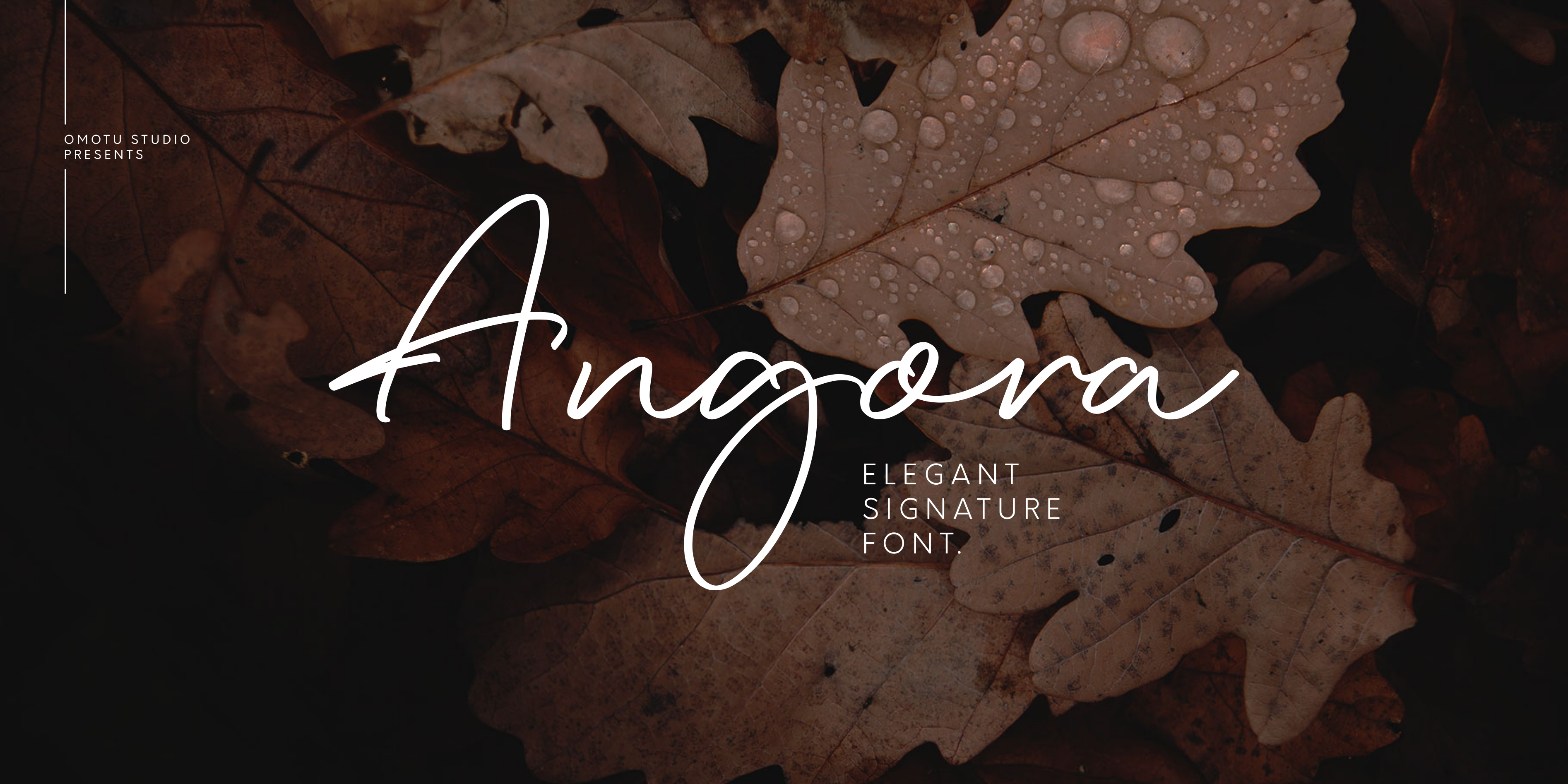 Angora Free Download Free Download