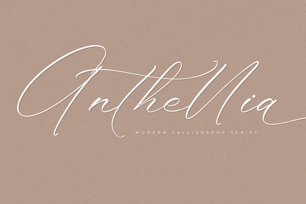 Anthellia Modern Calligraphy Script Free Download Free Download