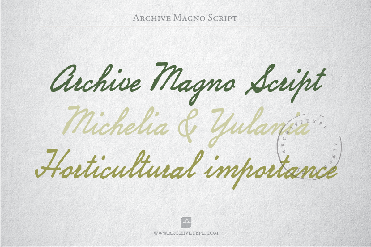 Archive Magno Script Free Download Free Download