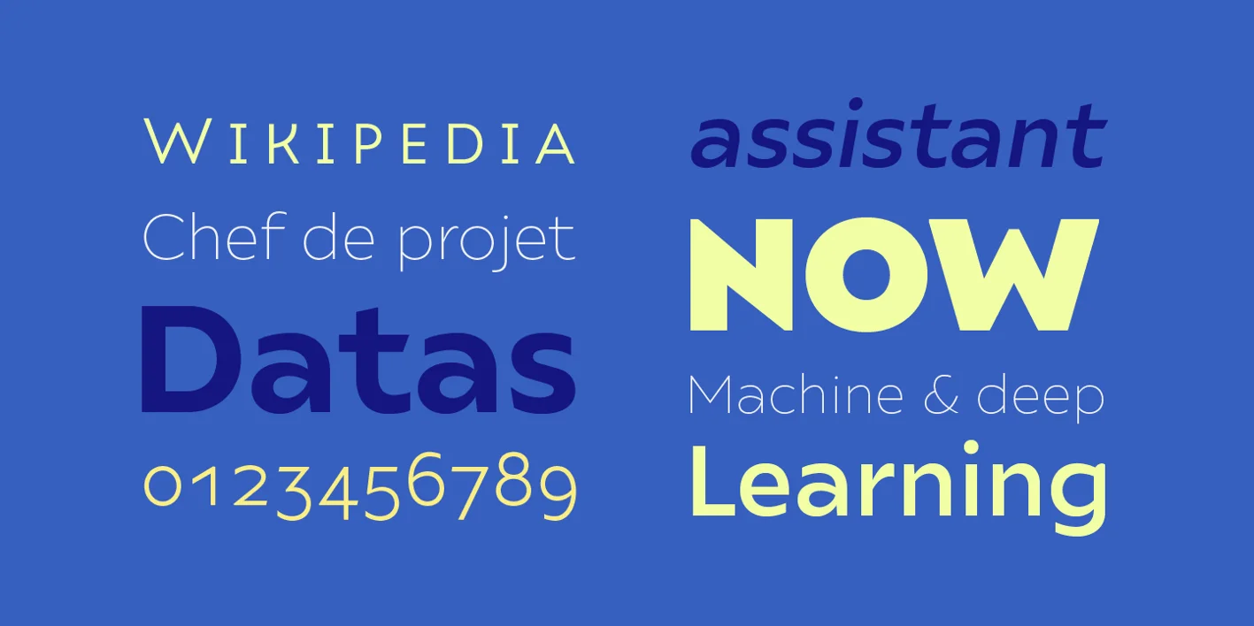 Ariana Pro Font