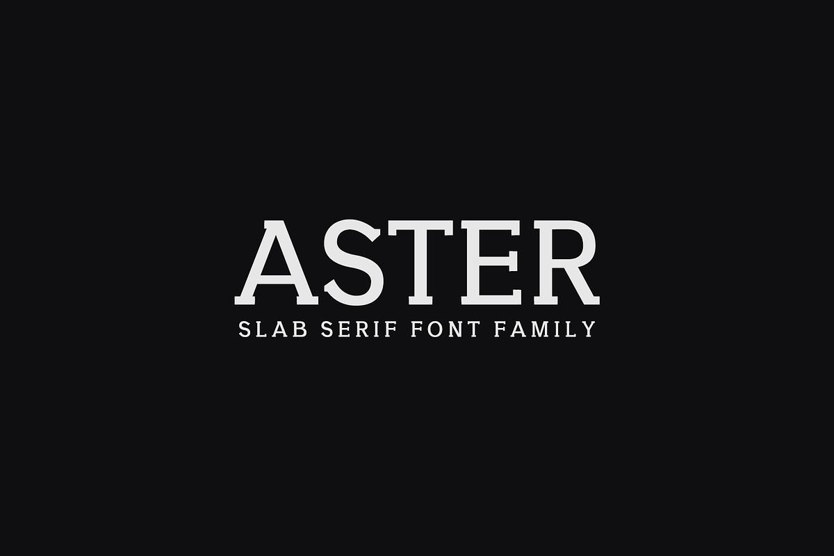 Aster Slab Serif 9 Font Family Pack Free Download Free Download