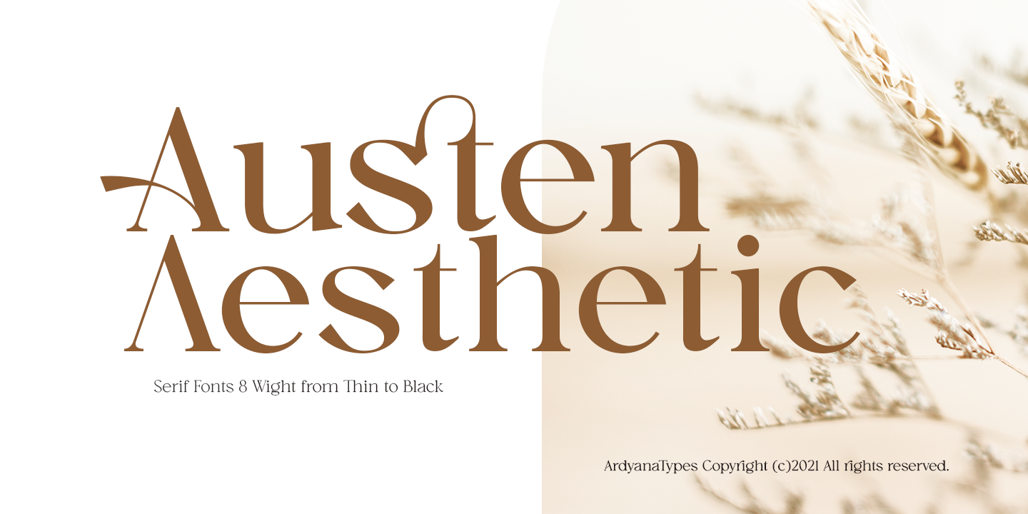 Austen Aesthetic Free Download Free Download