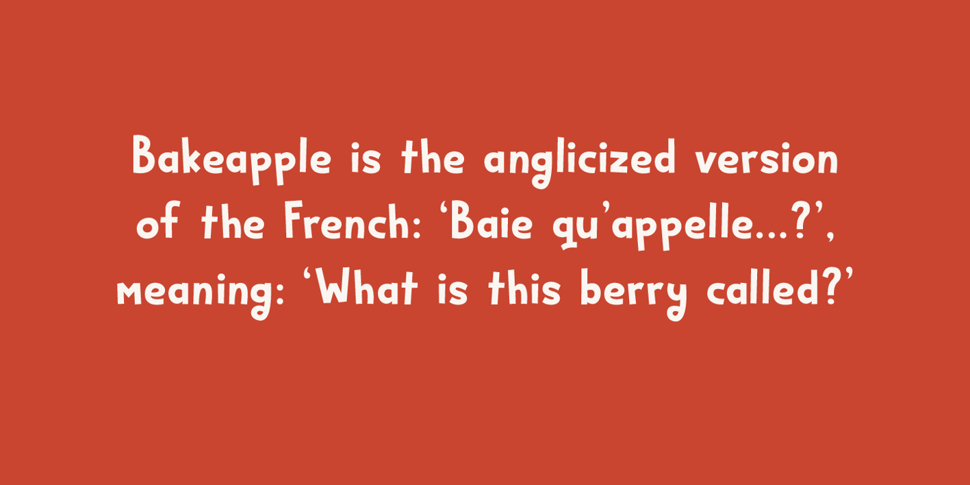 Bakeapple Font Free Download