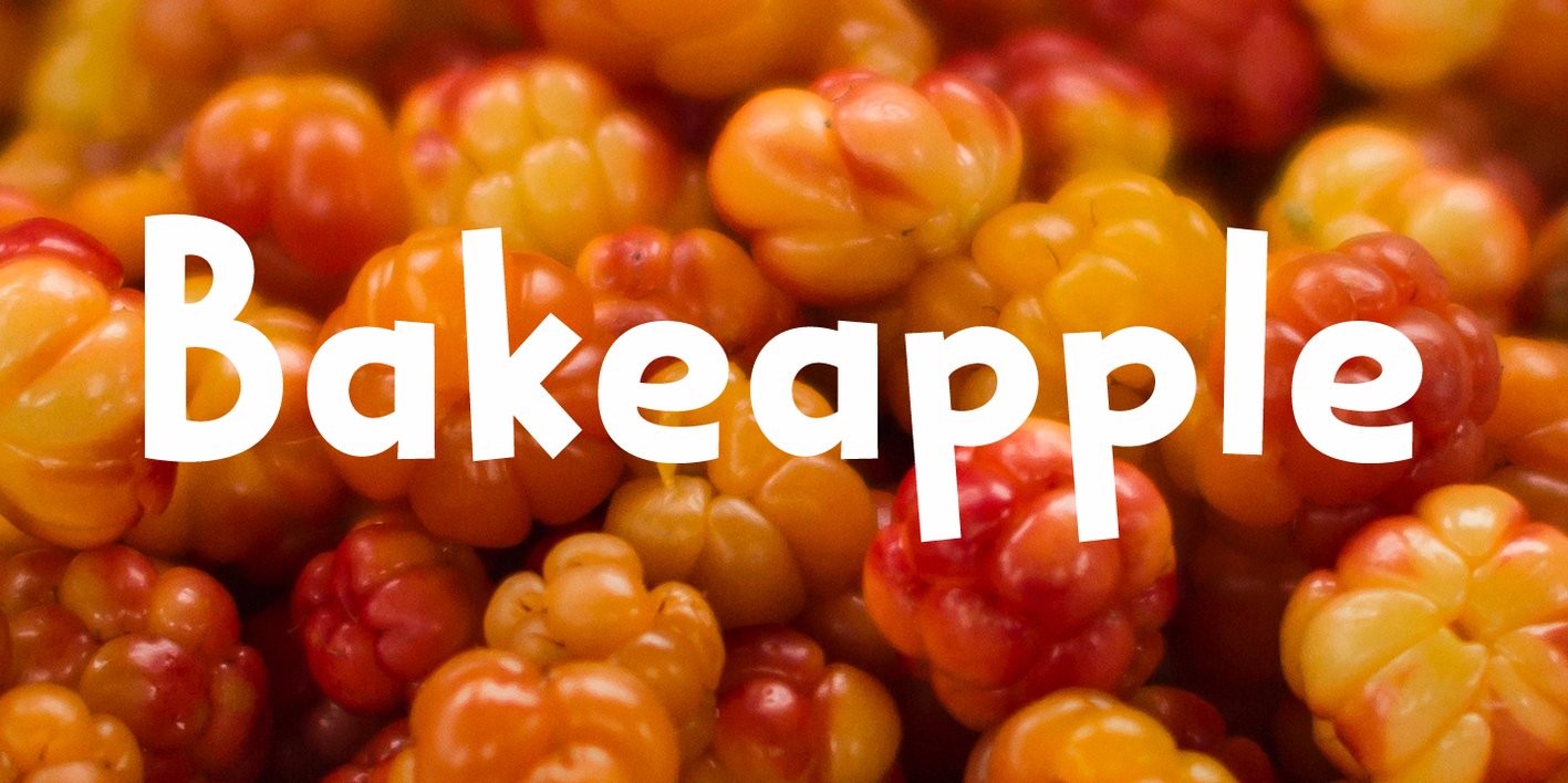 Bakeapple Font Free Download