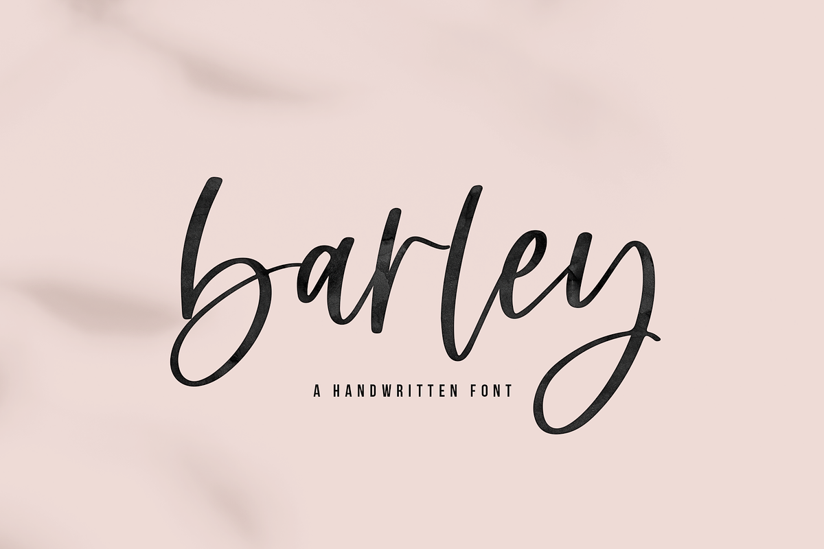 Barley | Handwritten Script Font Free Download Free Download