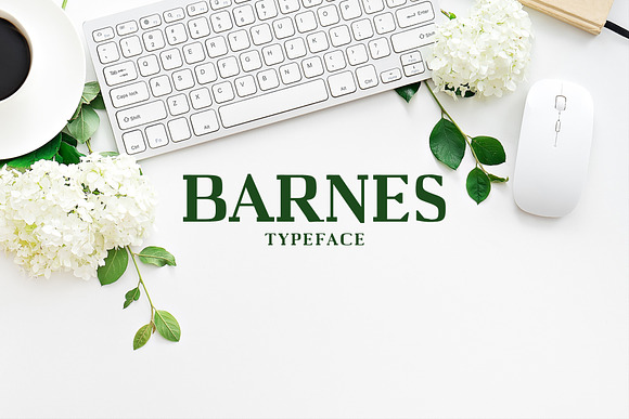 Barnes Serif 7 Font Family Pack Free Download