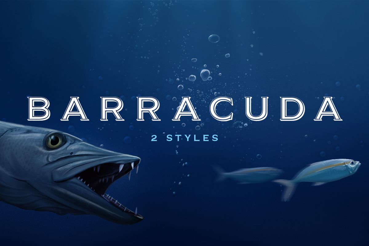 Barracuda Display - Logo Font Free Download Free Download