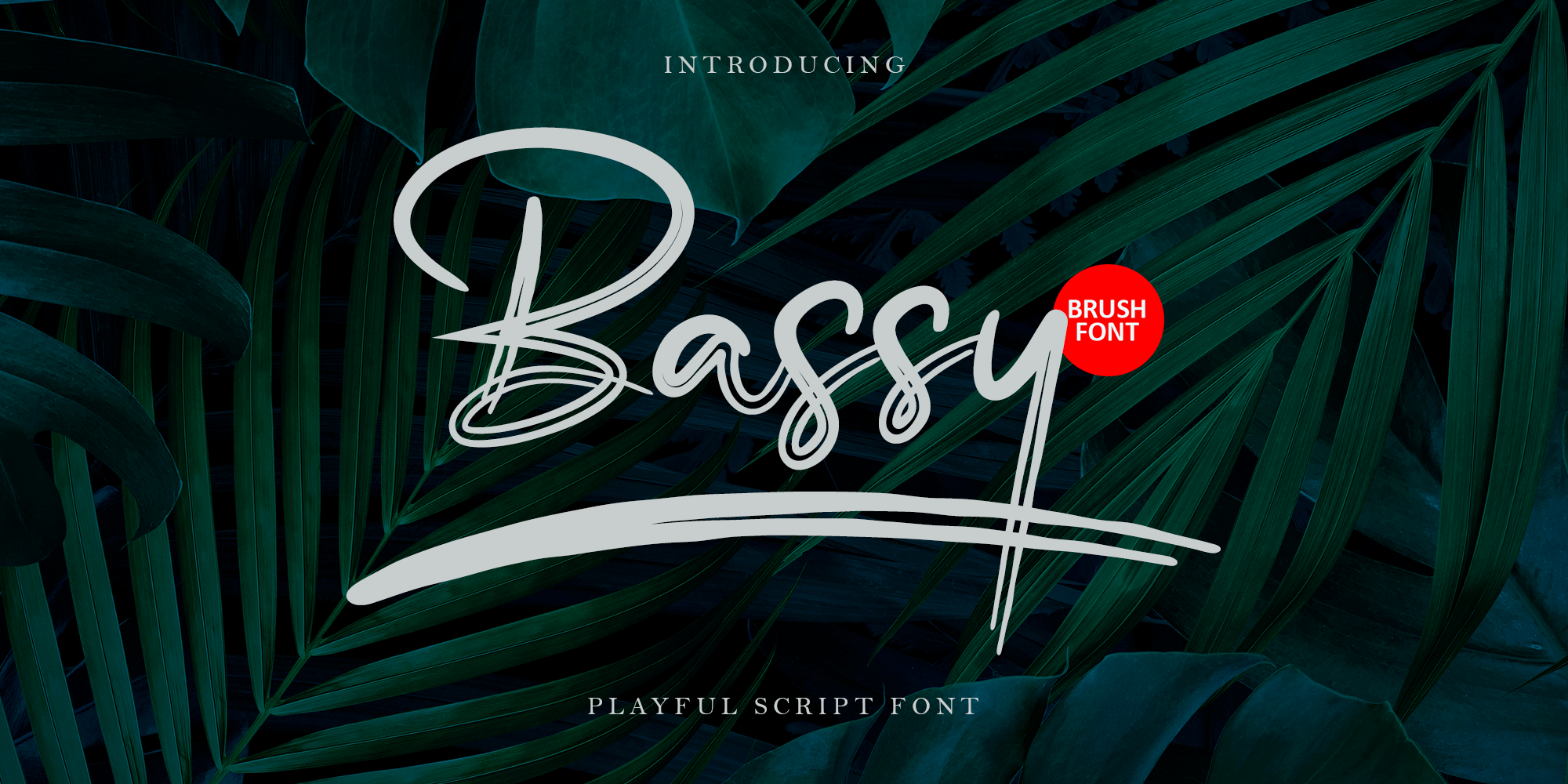 Bassy Free Download Free Download