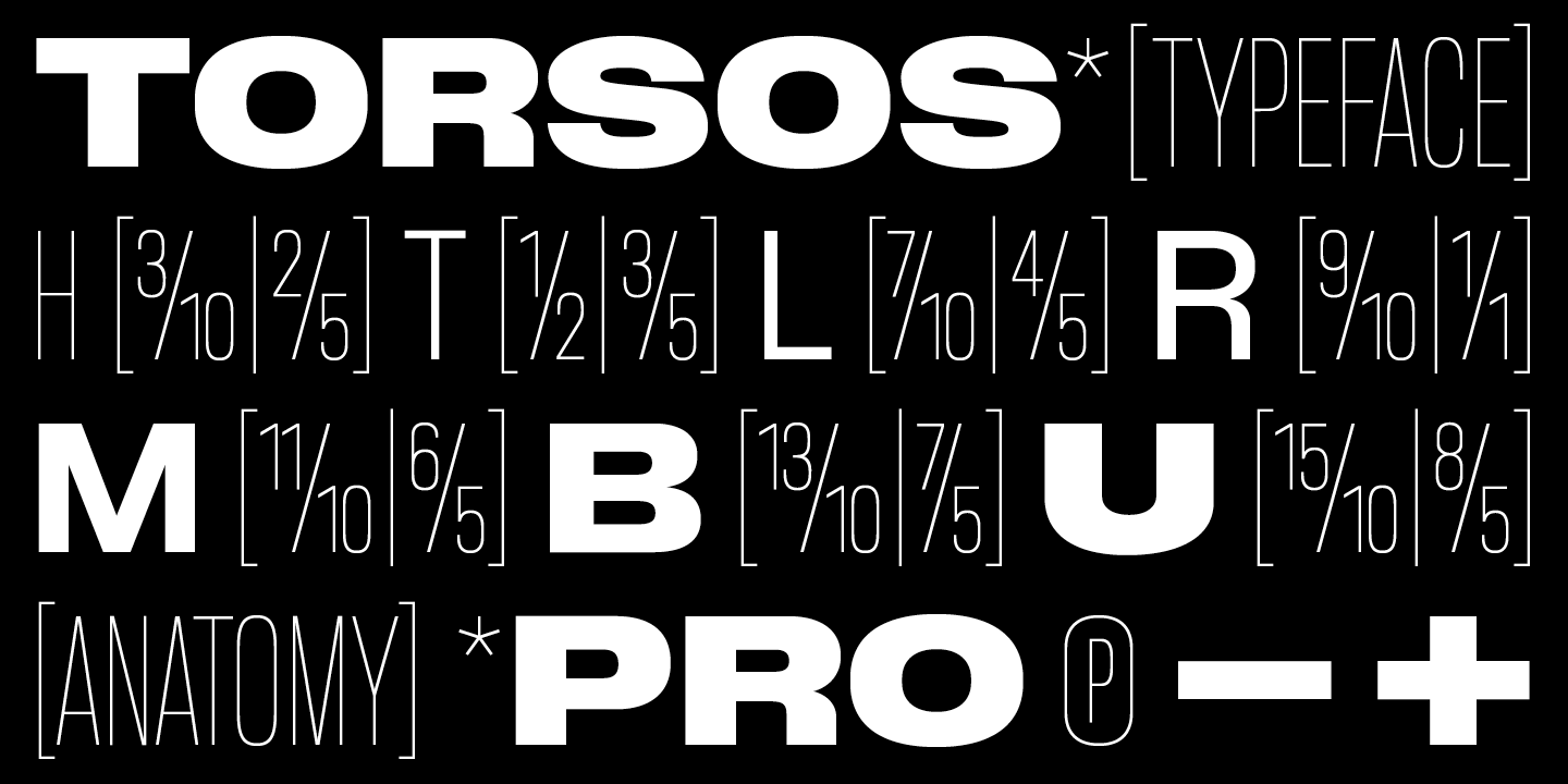 BB Torsos Pro Free Download Free Download