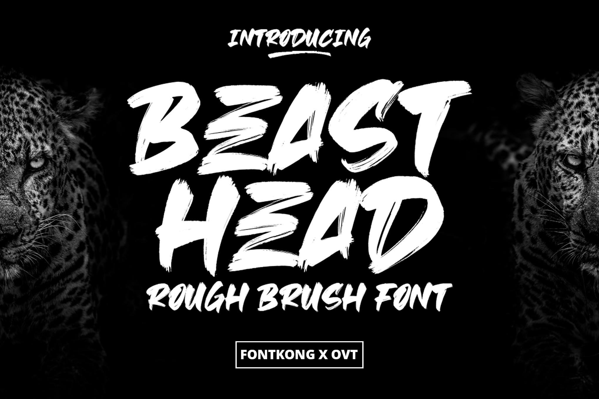 Beast Head - Rough Brush Font Free Download