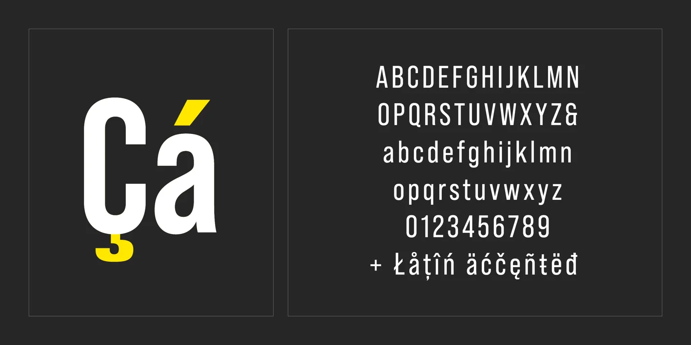 Bebas Neue Pro Font