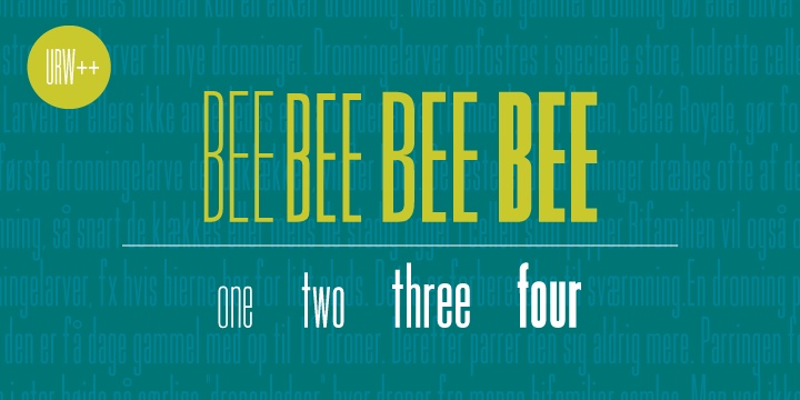 Bee Font Free Download