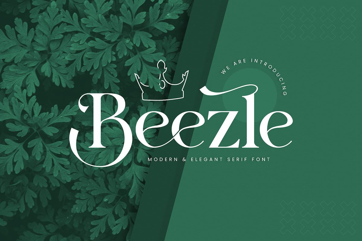 Beezle Modern Serif Font Free Download Free Download