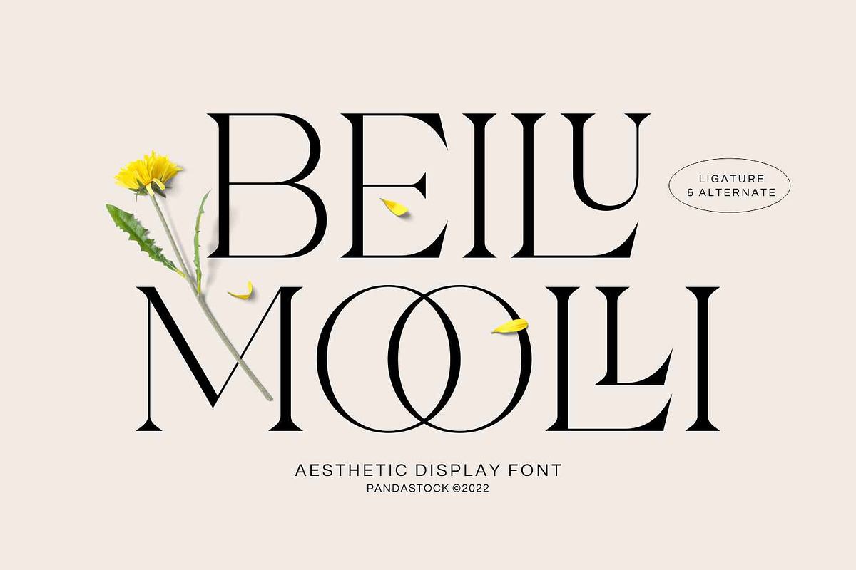 Beilu Moolli Beautiful Modern Fonts Free Download Free Download