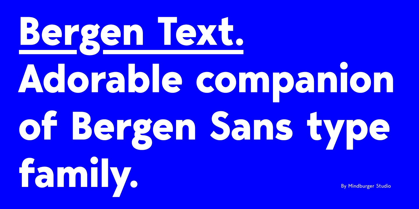 Bergen Text Font Free Download