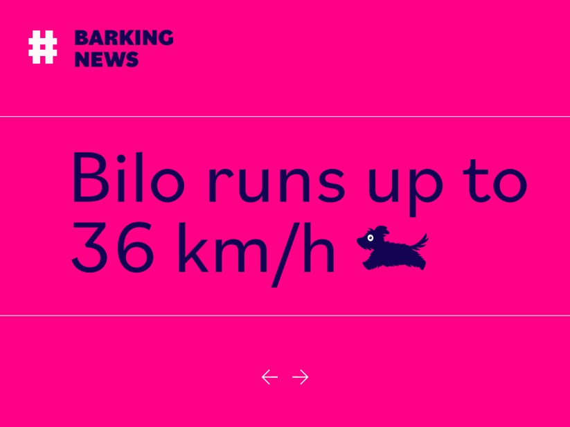 Bilo Font Free Download