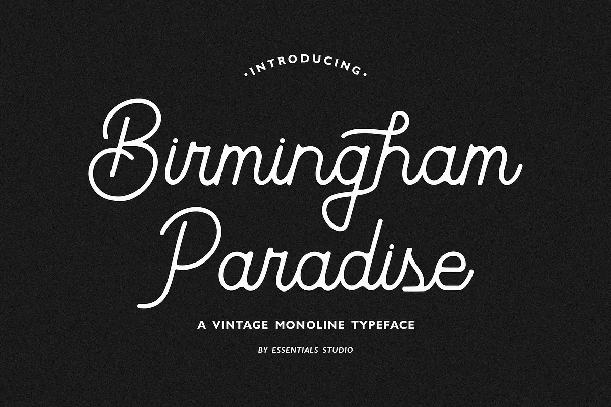 Birmingham Paradise - Monoline Font Free Download Free Download