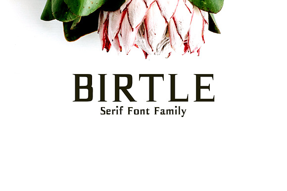 Birtle Serif 3 Font Family Pack Free Download