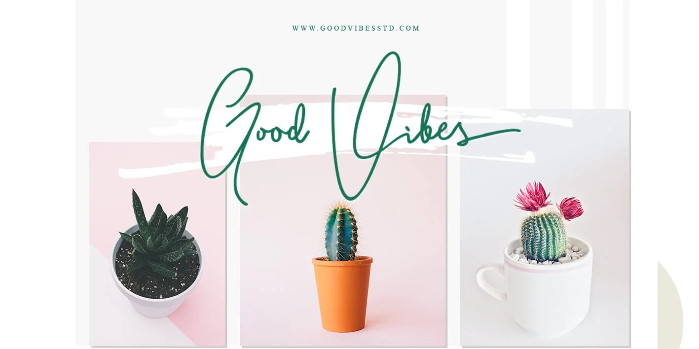 Bitlamero Script Font