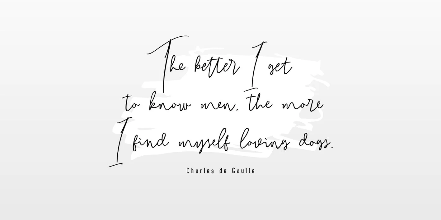 Bitlamero Script Font