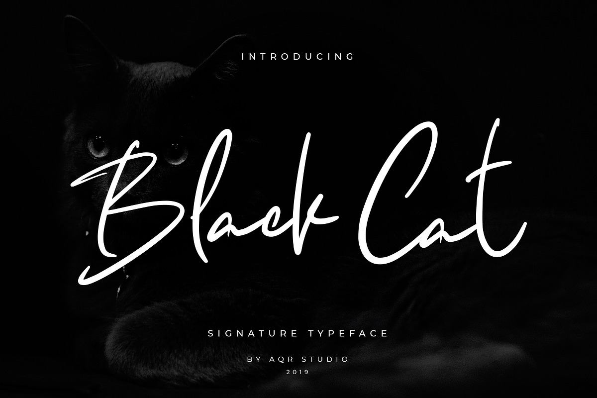 Black Cats Siganture Font Free Download Free Download