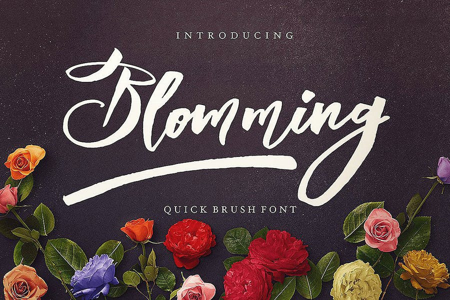 Blomming - Brush Font Free Download