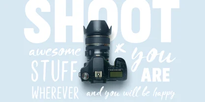 Blooms Script Font Font