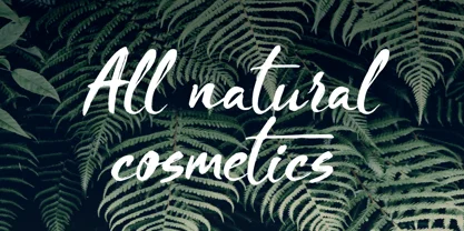 Blooms Script Font Font